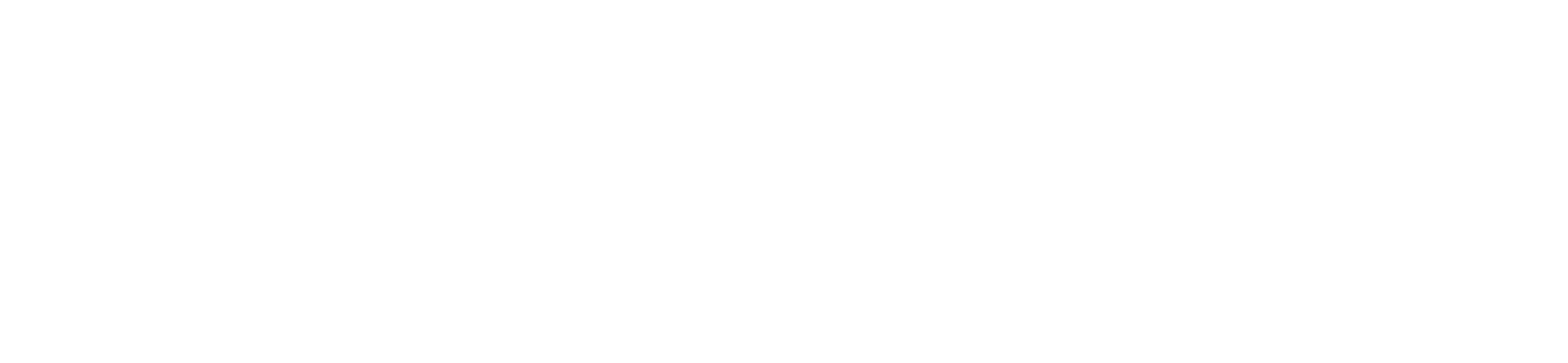 SAPINTEL